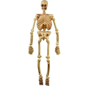 Meet your Posher, Tyson